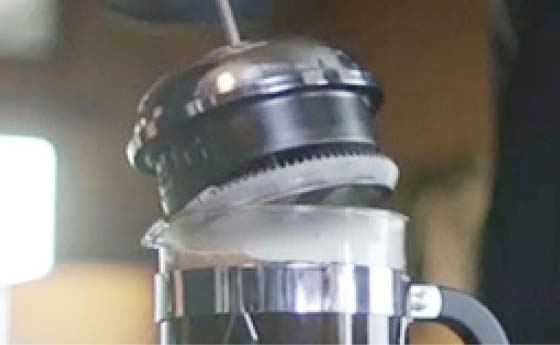 Place plunger and brew